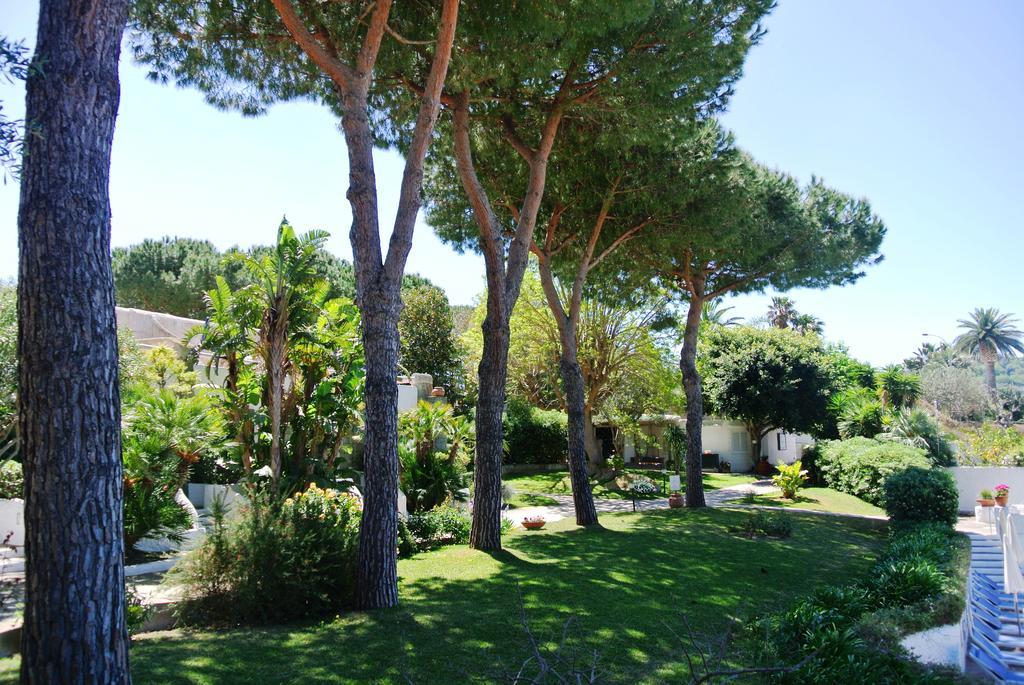 Paradiso Terme Resort & Spa Con 5 Piscine Termali Forio di Ischia 외부 사진